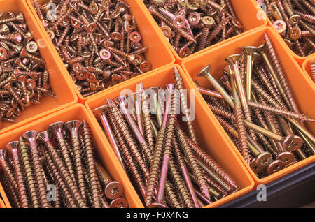 Modern Torx head gold screws in organiser box Stock Photo