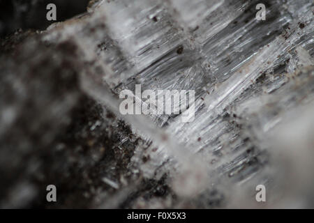 Ice crystals formed from layers of mud underground into a lattice, known as "needle ice" Stock Photo