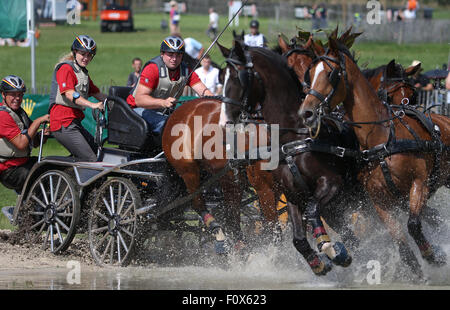 Aachen, Germany. 22nd Aug, 2015. Team of Germany with driver Michael Brauchle performs in the marathon driving competition, third individual and team qualifier during the FEI European Championships in Aachen, Germany, 22 August 2015. Photo: Friso Gentsch/dpa/Alamy Live News Stock Photo
