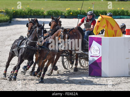 Aachen, Germany. 22nd Aug, 2015. Michael Brauchle of Germany drives through the last obstacle in the Marathon Driving Competition during the FEI European Championships in Aachen, Germany, 22 August 2015. Photo: Uwe Anspach/dpa/Alamy Live News Stock Photo