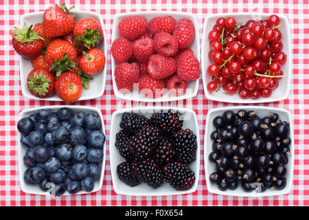 Redcurrants, Blackcurrants, Blackberries, Strawberries, Raspberries and Blueberries in white bowls on a checked background. Stock Photo