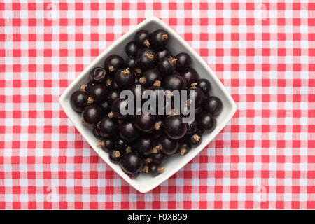 Blackcurrants in a white bowl on a checked background. Stock Photo