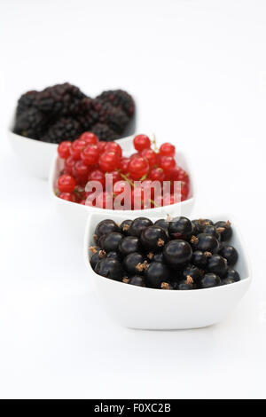 Redcurrants, Blackcurrants and Blackberries in white bowls on a white background. Stock Photo