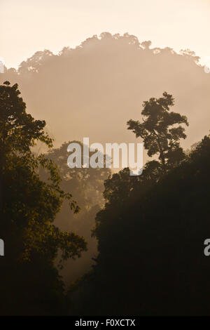 KARST FORMATIONS covered with tropical jungle surround CHEOW EN LAKE in KHAO SOK NATIONAL PARK - THAILAND Stock Photo