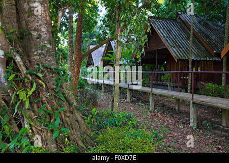 The RIVERSIDE COTTAGES in KHO SOK are a perfect place to stay to visit Kho Sok National Park - THAILAND Stock Photo