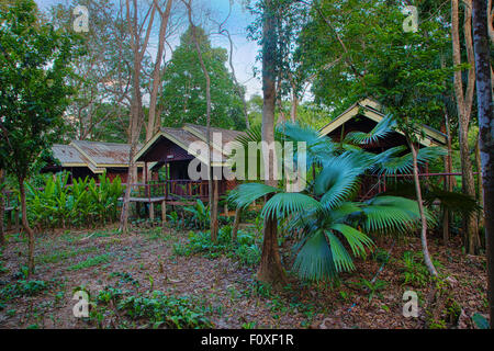 The RIVERSIDE COTTAGES in KHO SOK are a perfect place to stay to visit Kho Sok National Park - THAILAND Stock Photo