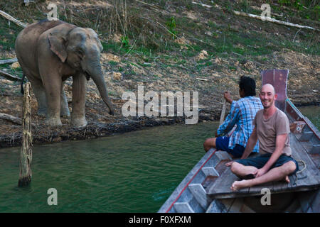 A WILD ELEPHANT comes to visit in the Wildlife Sanctuary on Klong Saeng of CHEOW EN LAKE in KHAO SOK NATIONAL PARK - THAILAND Stock Photo