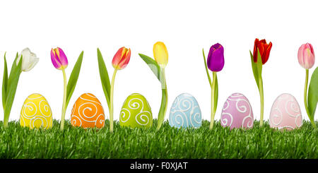 easter eggs with tulips on white background Stock Photo