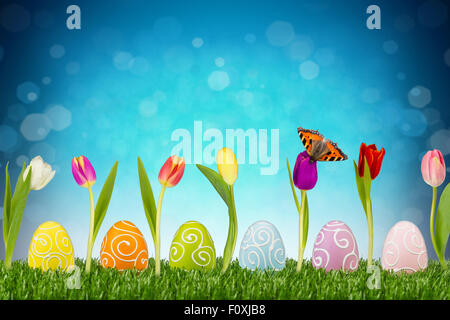 easter eggs and tulips in front of blue background Stock Photo