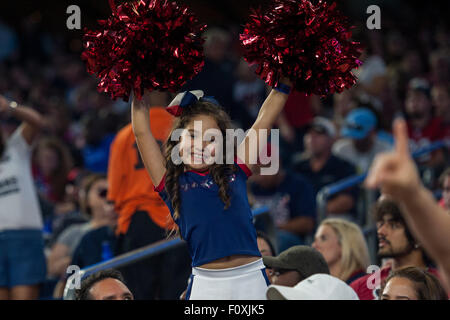 Houston, Texas, USA. 22nd Aug, 2015. A Houston Texans fan cheers during the 2nd half of an NFL preseason game between the Houston Texans and the Denver Broncos at NRG Stadium in Houston, TX on August 22nd, 2015. Credit:  Trask Smith/ZUMA Wire/Alamy Live News Stock Photo