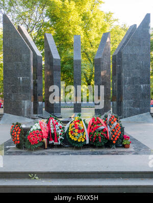 Flowers in front of a Second World War grave of a fallen Soviet soldier ...