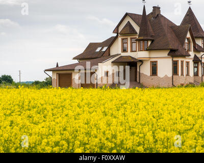 Fied of yellow flowers at front of bug, summer cotage Stock Photo