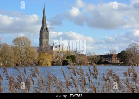 Salisbury Cathedral and flooded meadow following extreme winter storms in the winter of 2014 Stock Photo