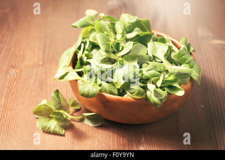 Fresh corn salad in a wooden bowl on wooden background Stock Photo