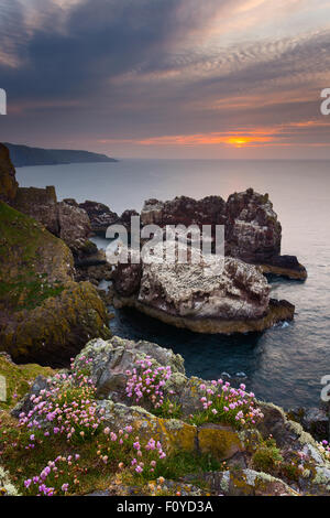 Looking west towards North Berwick from St Abb's Head at sunset Stock Photo