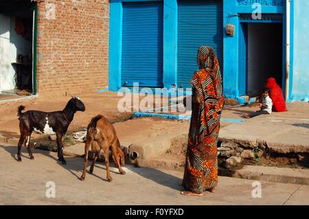 Orchha villagers and goats Madhya Pradesh, Northern India Stock Photo