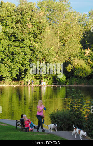 Northampton, UK. 23rd August, 2015. Familys and dog walkers enjoy the beautiful sunny evening weather in Abington Park in Northampton. The forcast next week is for rain. Credit:  Bigred/Alamy Live News Stock Photo