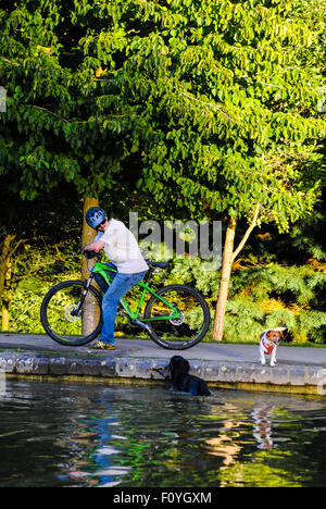 Northampton, UK. 23rd August, 2015. A pet owner lets his dog cool off on a hot sunny evening in Abington Park in Northampton England UK. Rain is forcast for next week. Credit:  Bigred/Alamy Live News Stock Photo