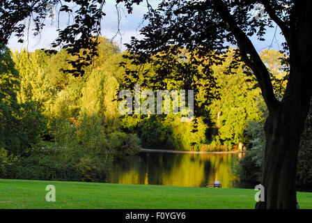 Northampton, UK. 23rd August, 2015. Local people enjoy a beautiful sunny evening in Abington Park in Northampton England UK. Wet weather is forcast for much of next week locally. Credit:  Bigred/Alamy Live News Stock Photo