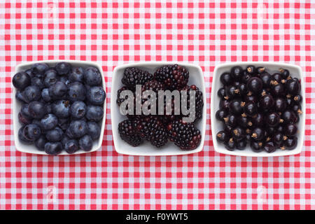 Blueberries, Blackberries, and Blackcurrants in white bowls on a checked background. Stock Photo