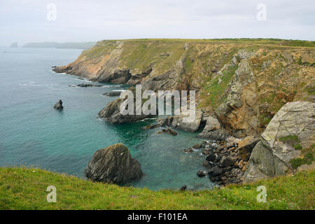Cliffs at Renny Slip, Skomer Island in the distance. Pembrokeshire, Wales Stock Photo
