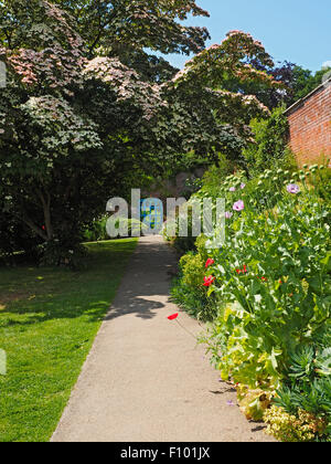 Croft gardens and parklands Herefordshire Stock Photo
