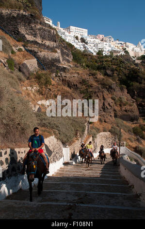 Some tourists arriving in the old port of Santorini Island like to ride on donkey to the main town Fira 300 meters above the sea Stock Photo