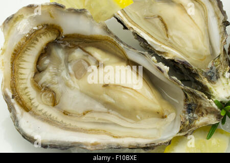 Opened oysters with lemon on ice Stock Photo