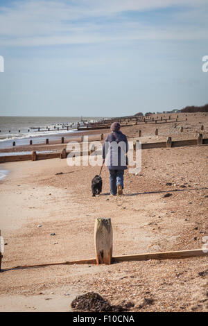 A woman in a hat and coat walks her dog along a shingle beach between wooden groynes on a Spring day in Ferring, west Sussex. Stock Photo