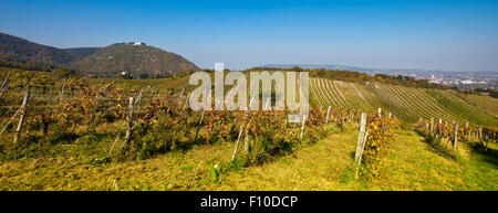 View on the Leopoldsberg Church (left) and the Danube (middle) from a Viennese wine yard in the 19th District of Vienna Stock Photo