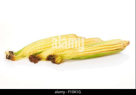 Three ears of corn isolated on white background Stock Photo