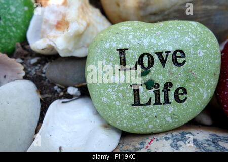 Inspirational quote on garden rock. Stock Photo