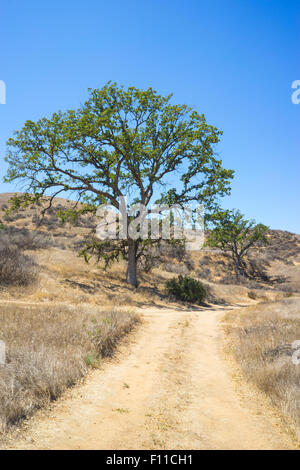 Dirt road winds through low hills into the wilderness of southern California. Stock Photo