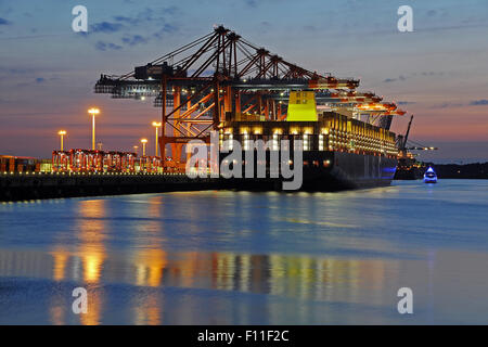 MSC Zoe, world's largest container ship, Waltershof harbor, Hamburg, Germany Stock Photo