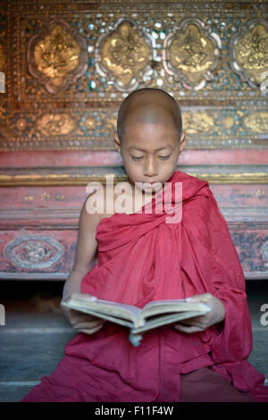 Asian monk-in-training reading book in temple Stock Photo