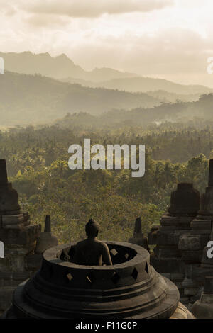 Tourist Attraction, Head of Buddha in Wat Mahathat The Temple of Great ...