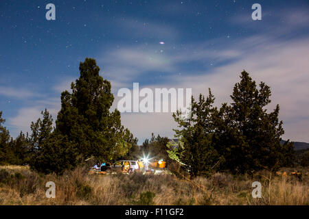 A scenic view of a field with long grass and green trees under the ...