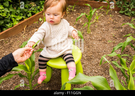 Caucasian mother giving vegetable to daughter in garden Stock Photo