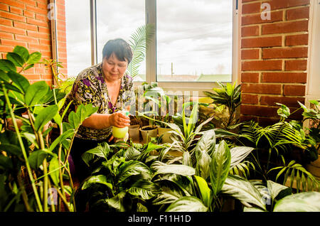 Caucasian woman watering indoor plants Stock Photo