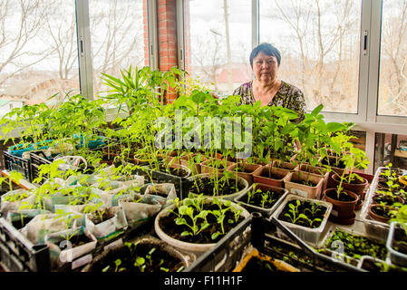 Caucasian woman standing with indoor plants Stock Photo