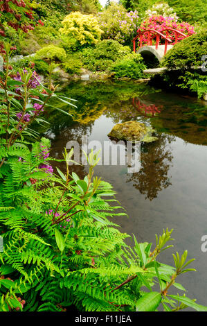 High angle view of bridge and lush plants in park Stock Photo