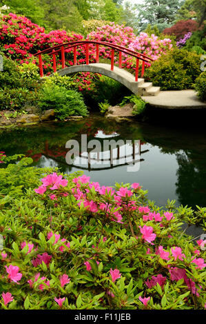 Footbridge and lush plants in park Stock Photo