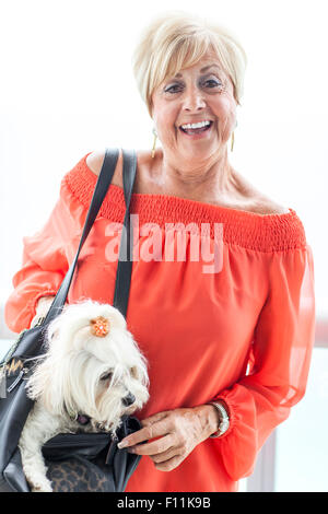 Older Caucasian woman carrying dog in purse Stock Photo