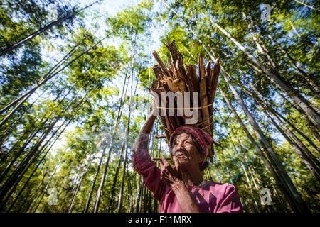 Low angle view of Asian man carrying stick bundle on her head Stock Photo