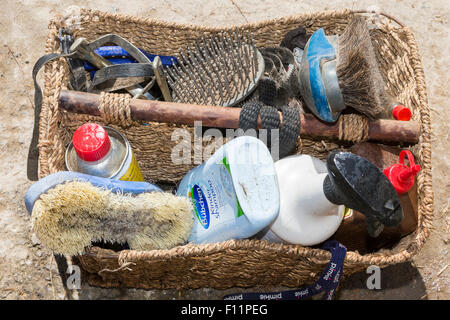 Domestic horse Grooming kit Stock Photo
