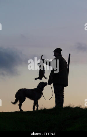 Hunter dead brown Hare and Weimaraner dog silhouetted against the evening sky, Stock Photo