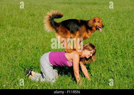 Mixed-breed dog standing the back its owner Stock Photo
