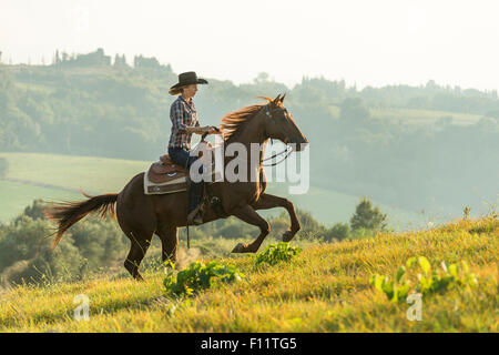 American Quarter Horse Rider galloping chestnut gelding Tuscany, Italy Stock Photo
