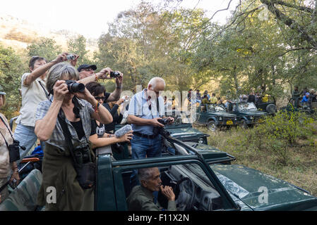 Sawai Madhopur, Rajasthan, India. Ranthambore National Park, Tourists tiger watching. Stock Photo