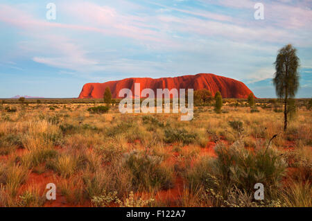 Early morning light on majestic Uluru. Stock Photo